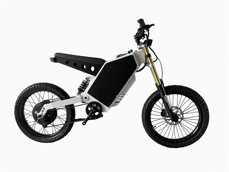 Fat Bike 3000w