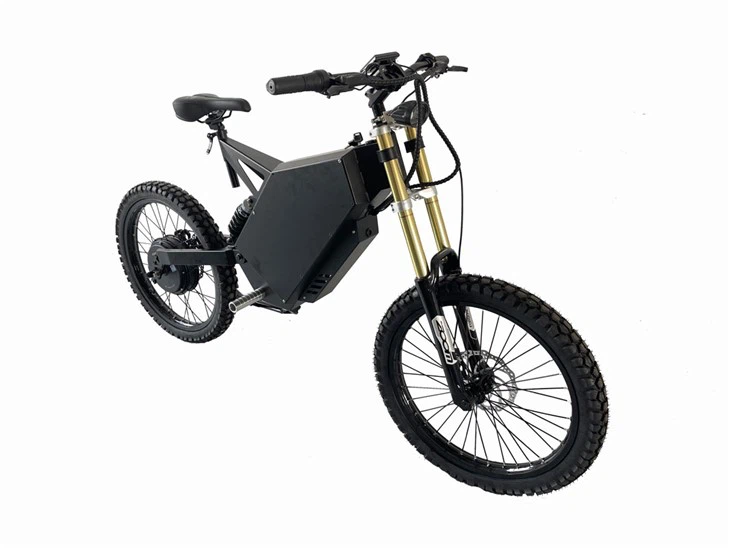 Fat Bike 3000w