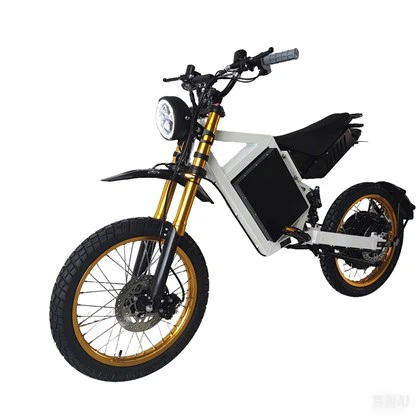 Best sale in 2024 electric bike 15000 watt CS20 motorcycle brakes edition